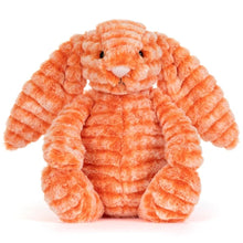 Load image into Gallery viewer, Fizzleskip Jellycat Bunny (M)
